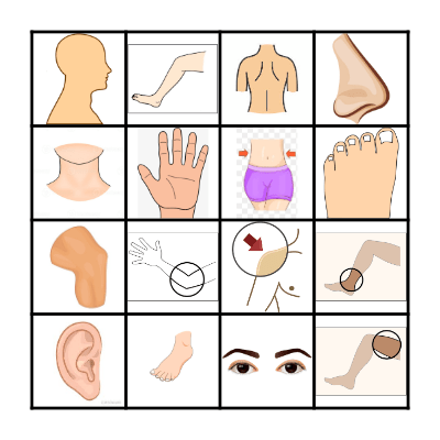 BODY PARTS Bingo Card