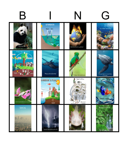 Ciclos biogeoquímicos Bingo Card