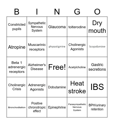 Adrenergics/Cholinergics Bingo Card
