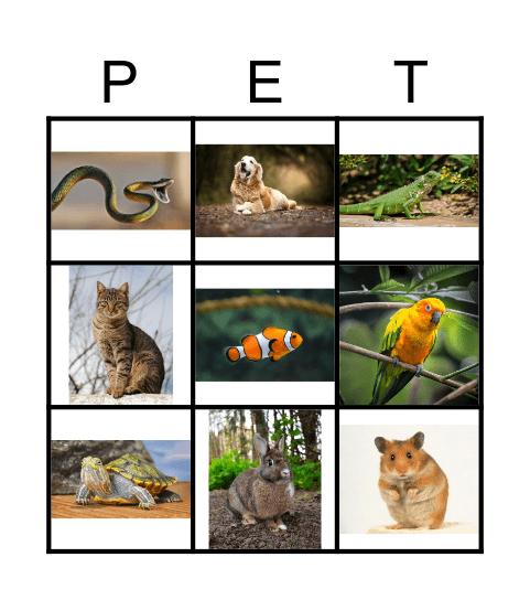 PETS Bingo Card
