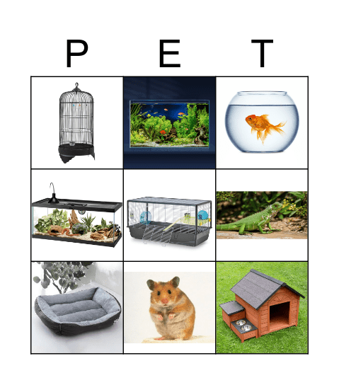 PETS AND THEIR HOMES Bingo Card