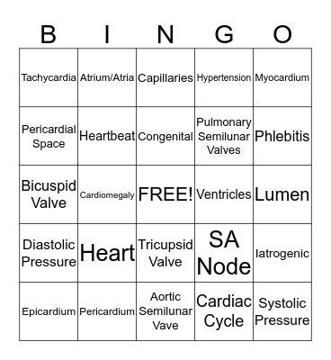 Cardiovascular System  Bingo Card