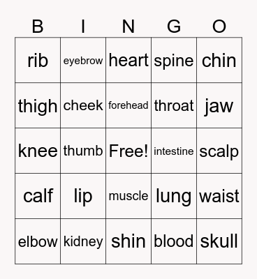 Parts of the body Bingo Card