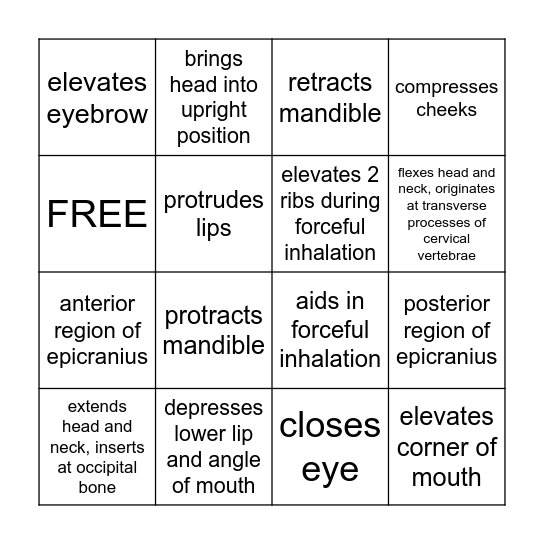 Head,  Facial Expression,  Mastication Review BINGO Card