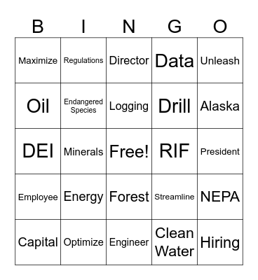 DOI Bingo Card