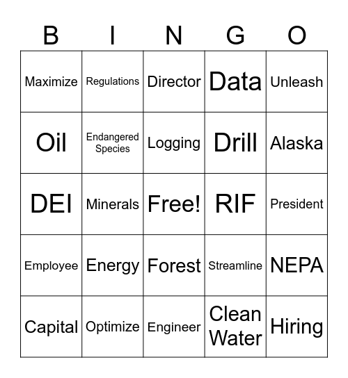 DOI Bingo Card