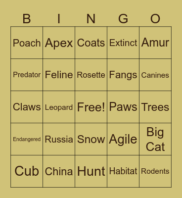 Amur Leopard Bingo Card