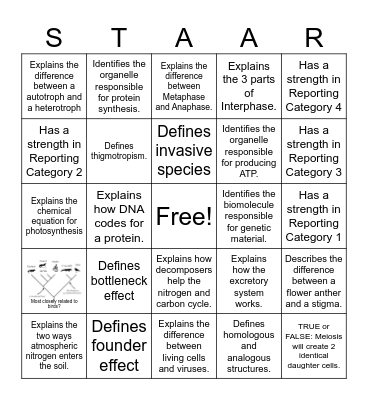STAAR REVIEW BINGO Card