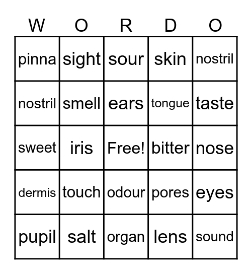 Sense Organs Bingo Card