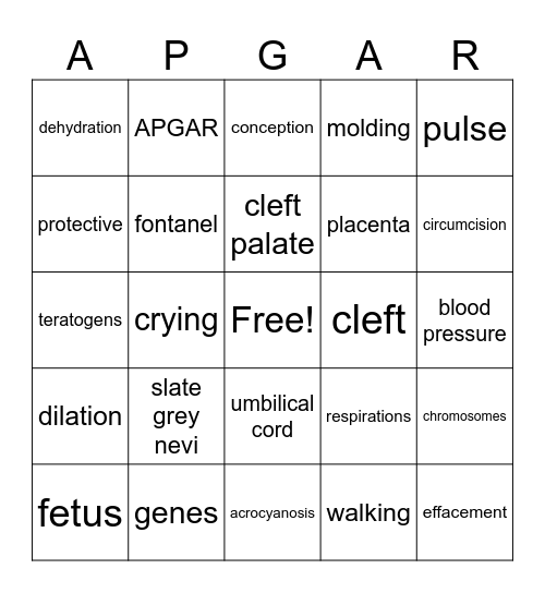 Chapter 6 Prenatal Period to 1 Year Bingo Card