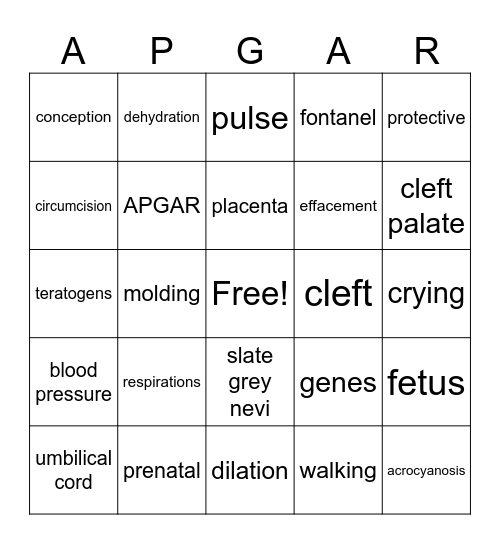 Chapter 6 Prenatal Period to 1 Year Bingo Card