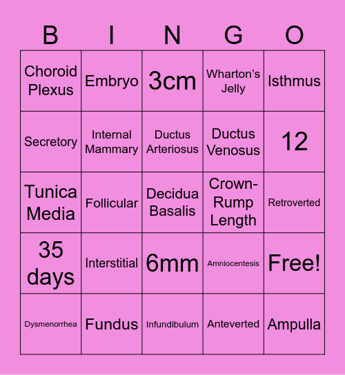 DMS106 Final Review Bingo Card