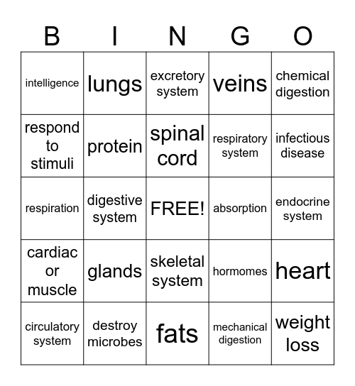 HUMAN BODY Bingo Card