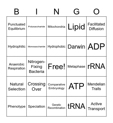 Biology EOC/STAAR Review BINGO Card
