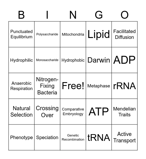 Biology EOC/STAAR Review BINGO Card