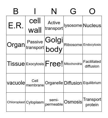 cells Bingo Card