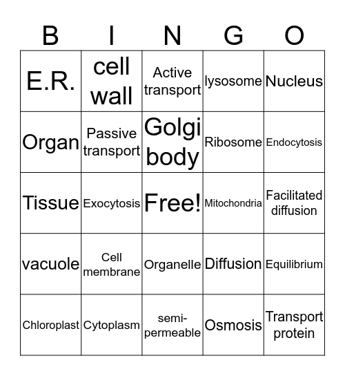 cells Bingo Card