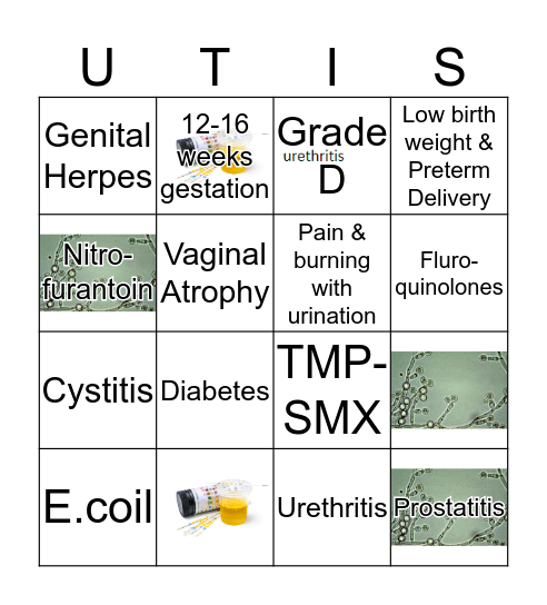 Urinary Tract Infections Bingo Card