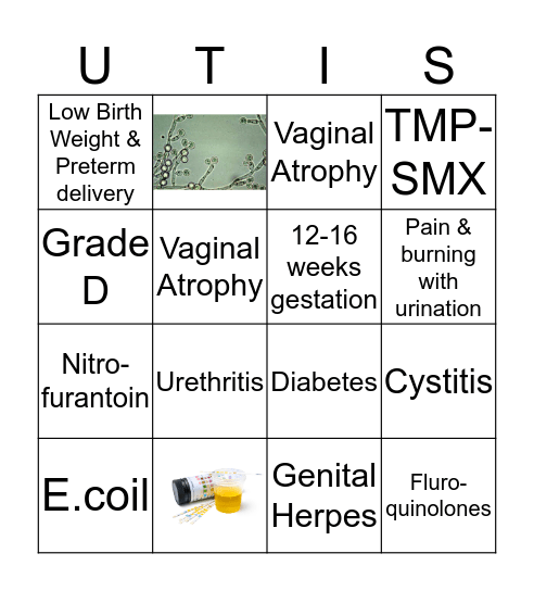 Urinary Tract Infections Bingo Card