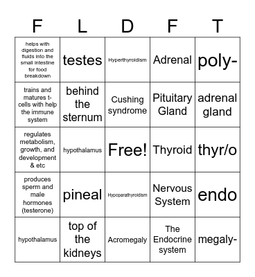 Endocrine System Bingo Card