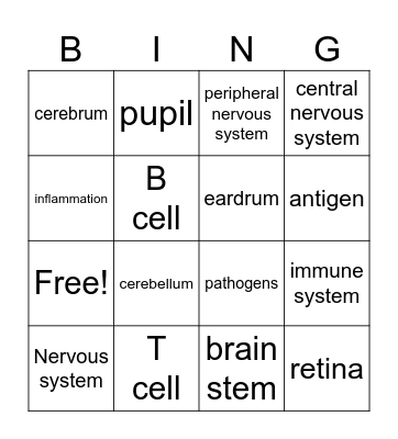 Ch 16 terms Bingo Card