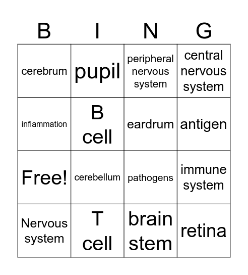 Ch 16 terms Bingo Card
