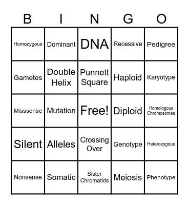Genetics Vocabulary Bingo Card