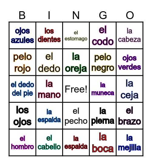 Mi Cuerpo Bingo Card