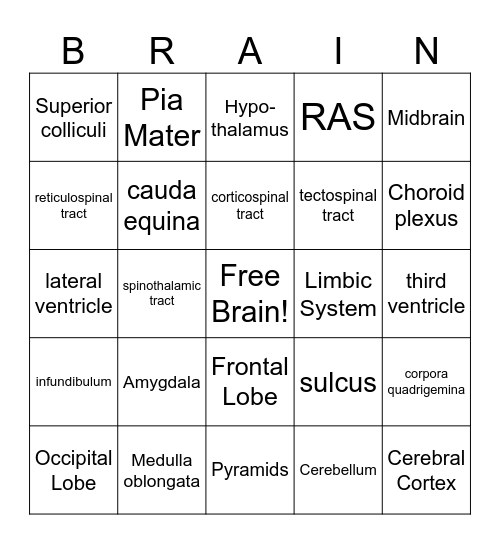 Brain Bingo Card