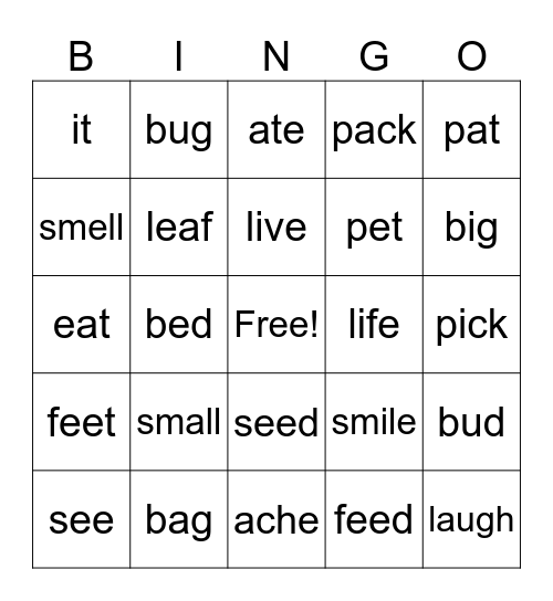 Pronunciation Bingo 2 Bingo Card