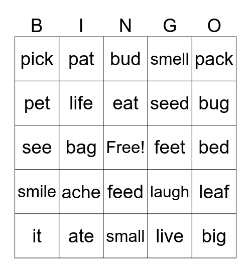 Pronunciation Bingo 3 Bingo Card