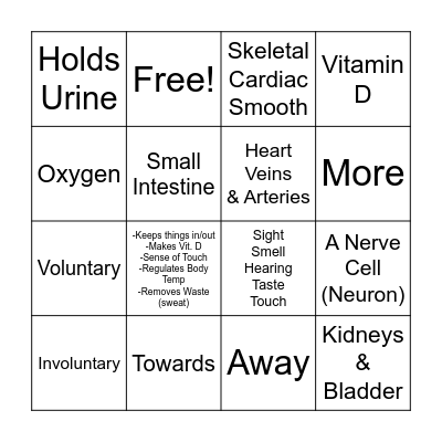 Human Anatomy Bingo Card