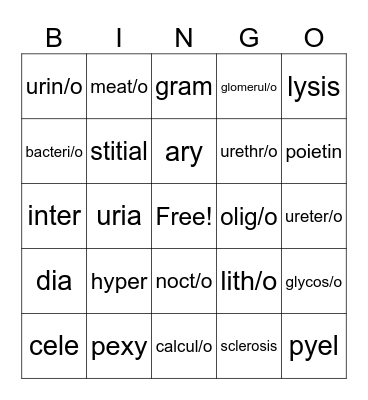 Urinary System Bingo Card