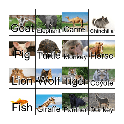 Animals Bingo Card
