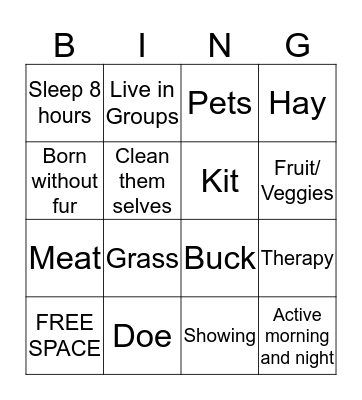 Bunny Bingo Card