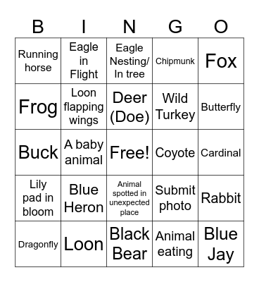 Photo Bingo 2025 Bingo Card