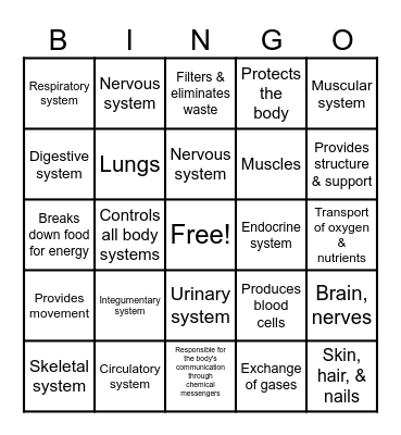 Body Systems Bingo Card