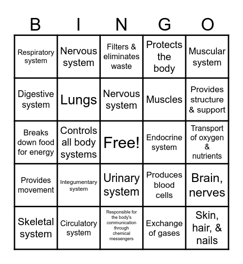 Body Systems Bingo Card