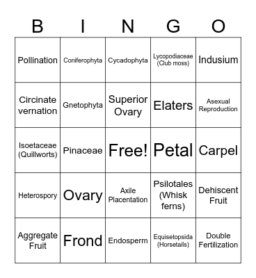 Exam 3 Bingo - SVPs, Gymnosperms, and Angiosperms Bingo Card