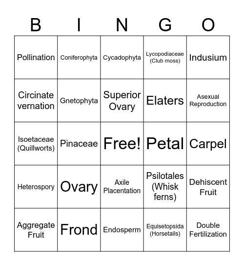 Exam 3 Bingo - SVPs, Gymnosperms, and Angiosperms Bingo Card