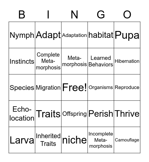 Life Cycles and Adaptations Bingo Card