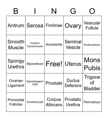 Reproductive Bingo Card
