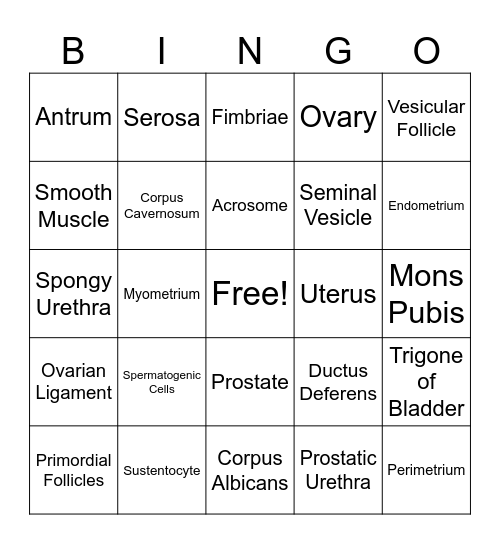 Reproductive Bingo Card