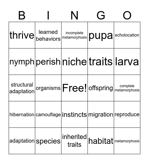 Life Cycles and Adaptations Bingo Card