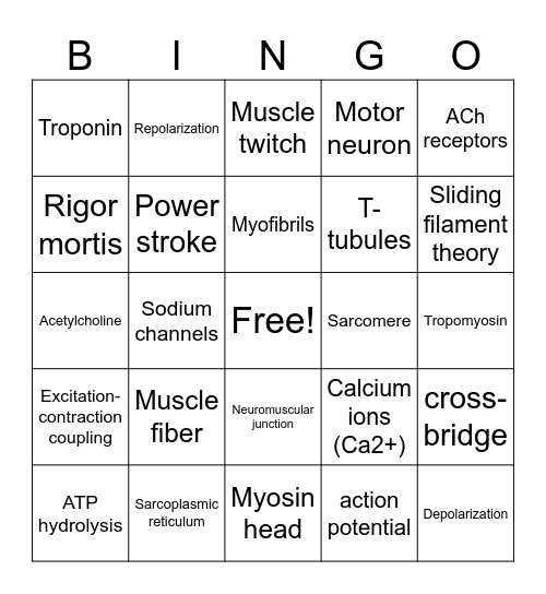 Muscular excitation bingo Card