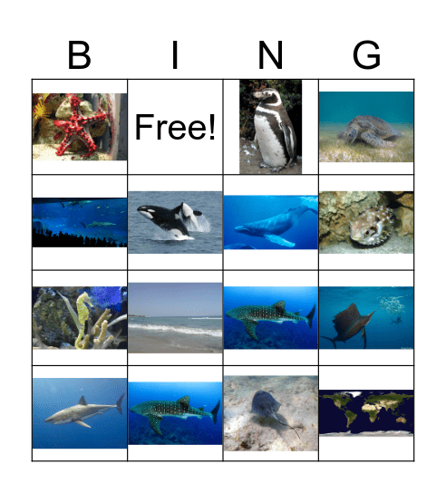 Ocean Bingo Card
