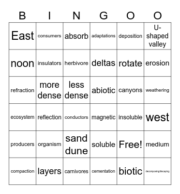Science STAAR Review Bingo Card