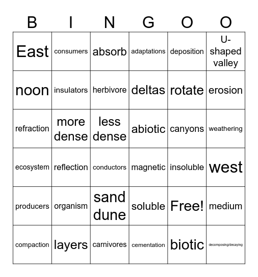 Science STAAR Review Bingo Card