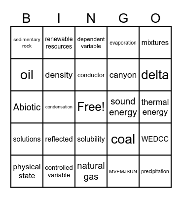 Science STAAR Vocabulary Bingo Card