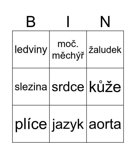Orgány Bingo Card